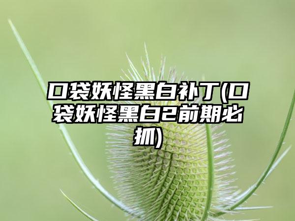 口袋妖怪黑白补丁(口袋妖怪黑白2前期必抓)