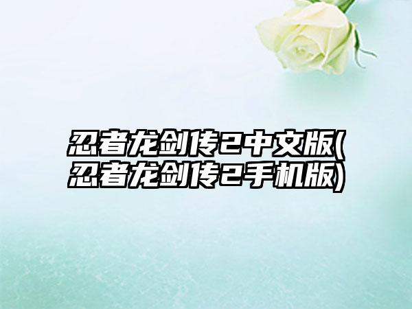 忍者龙剑传2中文版(忍者龙剑传2手机版)