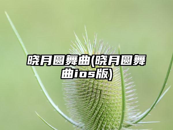 晓月圆舞曲(晓月圆舞曲ios版)