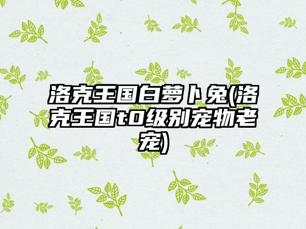 洛克王国白萝卜兔(洛克王国t0级别宠物老宠)