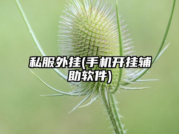 私服外挂(手机开挂辅助软件)