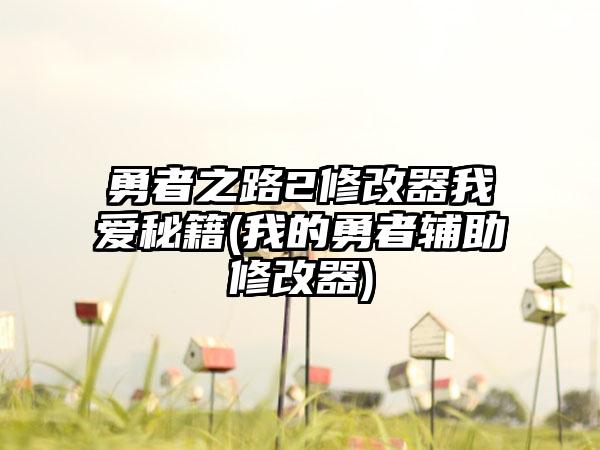 勇者之路2修改器我爱秘籍(我的勇者辅助修改器)