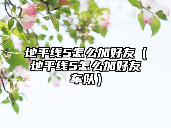 地平线5怎么加好友（地平线5怎么加好友车队）