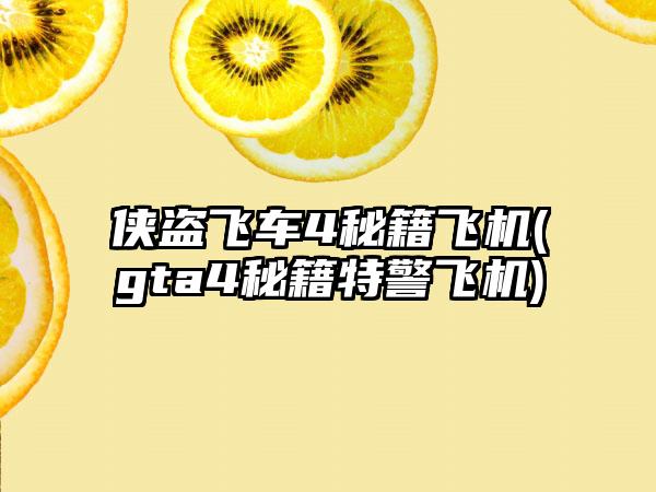侠盗飞车4秘籍飞机(gta4秘籍特警飞机)