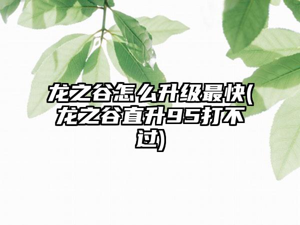 龙之谷怎么升级最快(龙之谷直升95打不过)