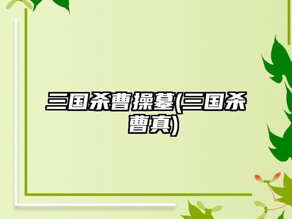 三国杀曹操墓(三国杀 曹真)