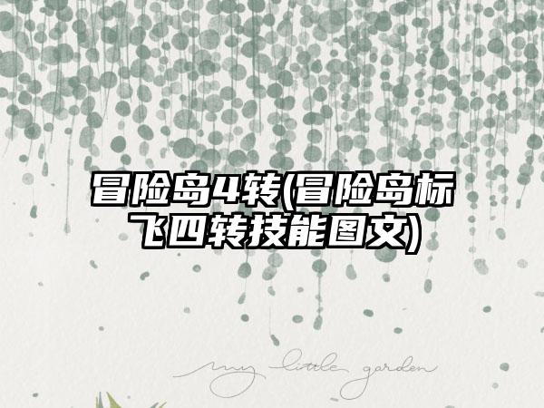 冒险岛4转(冒险岛标飞四转技能图文)