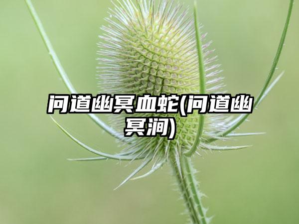 问道幽冥血蛇(问道幽冥涧)