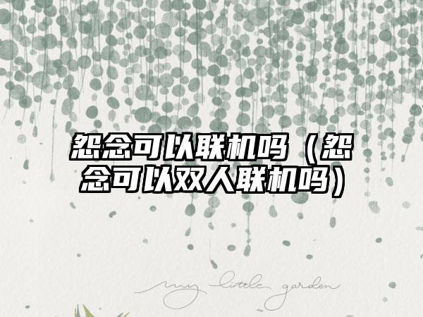 怨念可以联机吗（怨念可以双人联机吗）