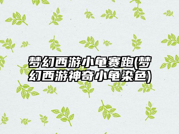 梦幻西游小龟赛跑(梦幻西游神奇小龟染色)