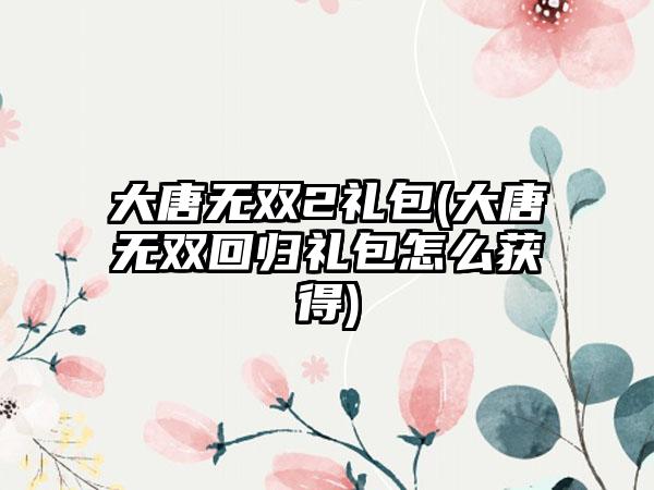大唐无双2礼包(大唐无双回归礼包怎么获得)