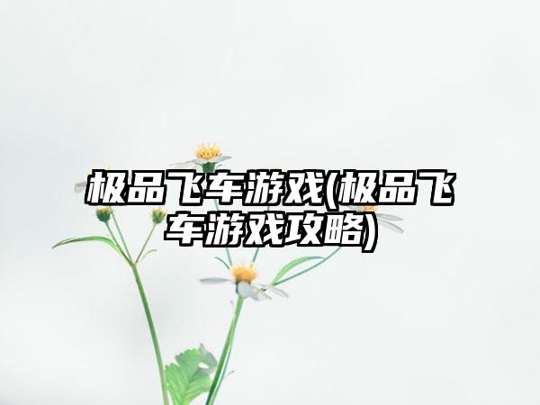 极品飞车游戏(极品飞车游戏攻略)