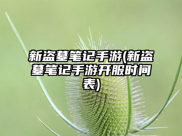 新盗墓笔记手游(新盗墓笔记手游开服时间表)