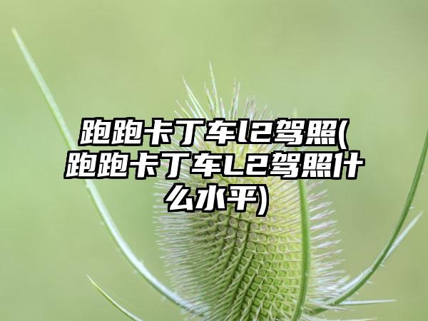跑跑卡丁车l2驾照(跑跑卡丁车L2驾照什么水平)