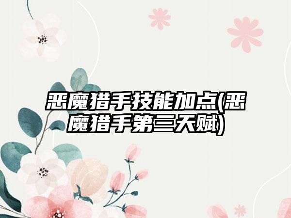 恶魔猎手技能加点(恶魔猎手第三天赋)