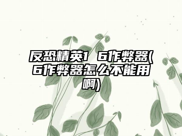 反恐精英1 6作弊器(6作弊器怎么不能用啊)