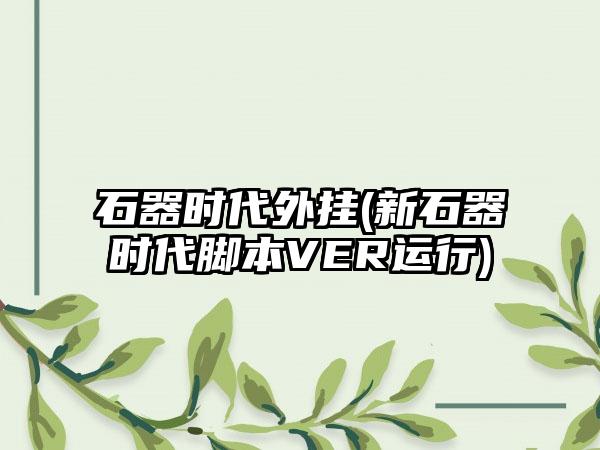 石器时代外挂(新石器时代脚本VER运行)