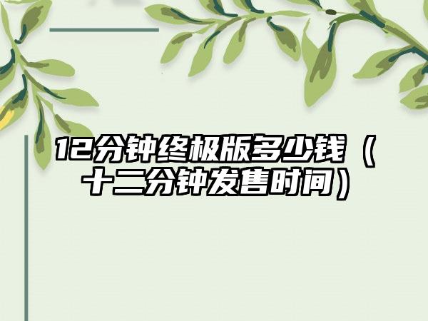 12分钟终极版多少钱（十二分钟发售时间）