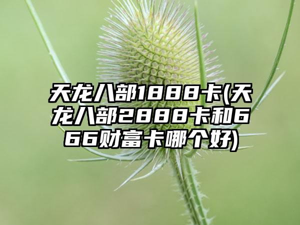天龙八部1888卡(天龙八部2888卡和666财富卡哪个好)