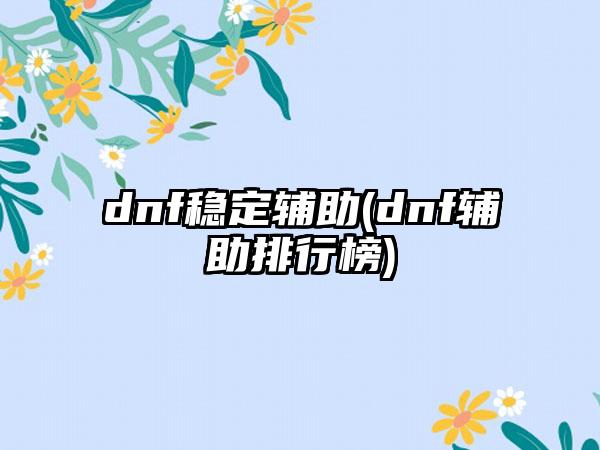 dnf稳定辅助(dnf辅助排行榜)