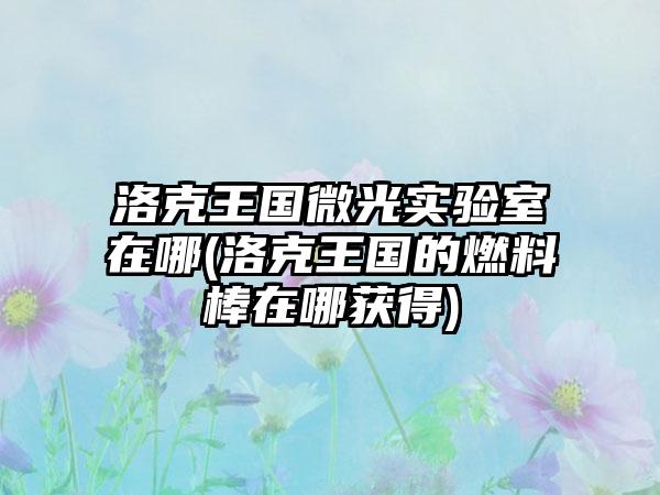 洛克王国微光实验室在哪(洛克王国的燃料棒在哪获得)