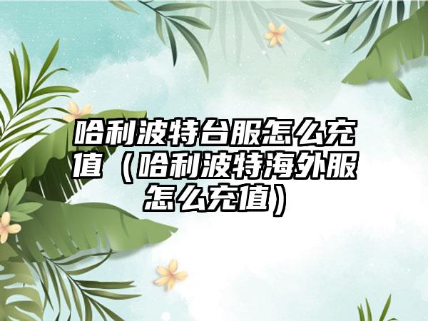 哈利波特台服怎么充值（哈利波特海外服怎么充值）