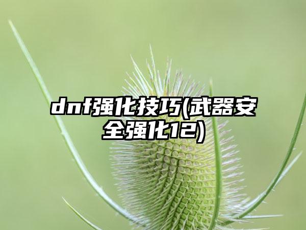 dnf强化技巧(武器安全强化12)