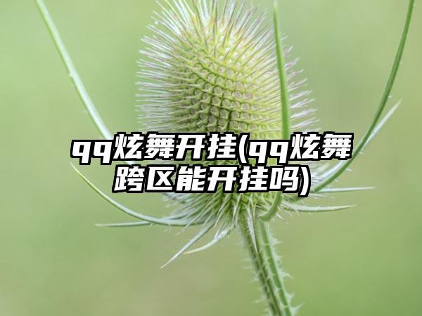 qq炫舞开挂(qq炫舞跨区能开挂吗)