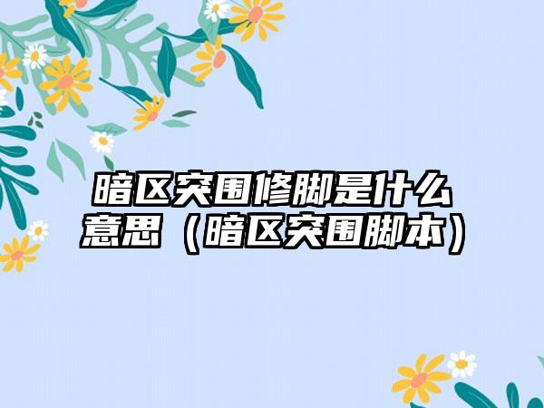 暗区突围修脚是什么意思（暗区突围脚本）