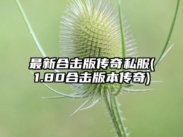 最新合击版传奇私服(1.80合击版本传奇)