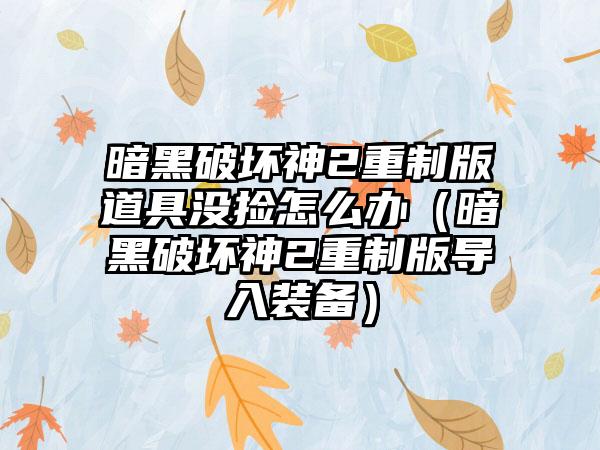 暗黑破坏神2重制版道具没捡怎么办（暗黑破坏神2重制版导入装备）
