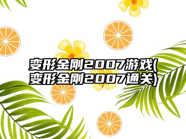 变形金刚2007游戏(变形金刚2007通关)