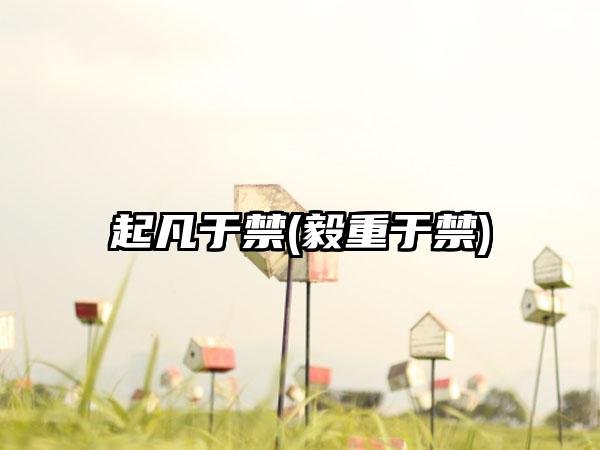 起凡于禁(毅重于禁)