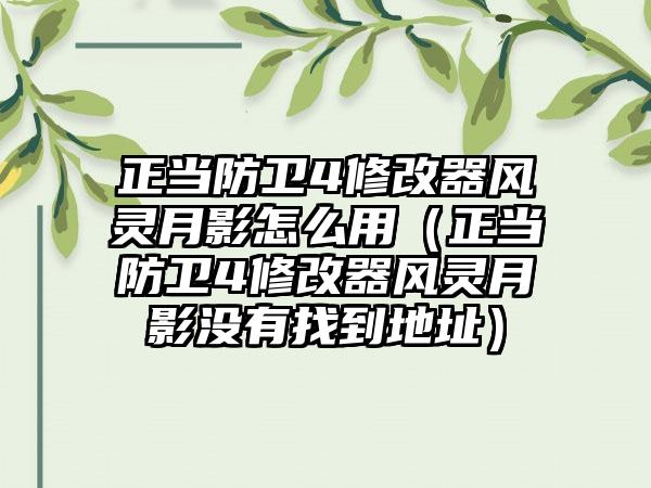 正当防卫4修改器风灵月影怎么用（正当防卫4修改器风灵月影没有找到地址）