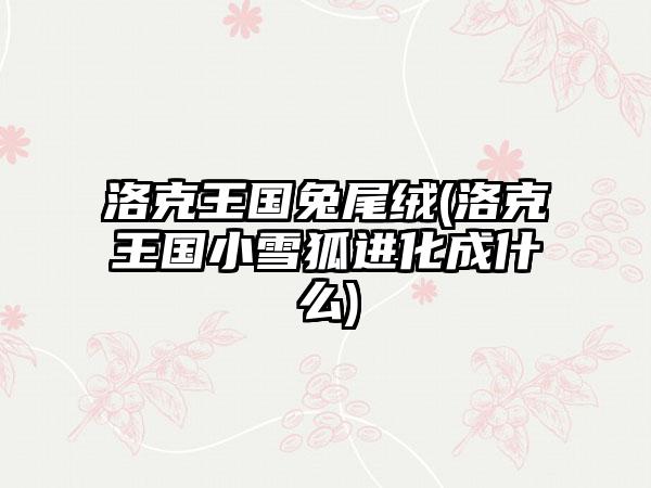 洛克王国兔尾绒(洛克王国小雪狐进化成什么)