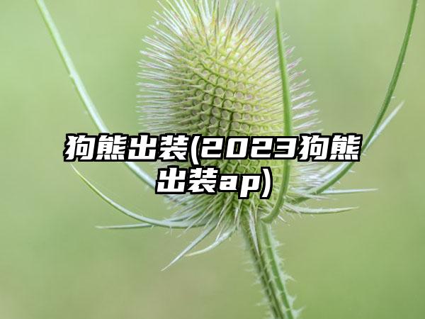 狗熊出装(2023狗熊出装ap)