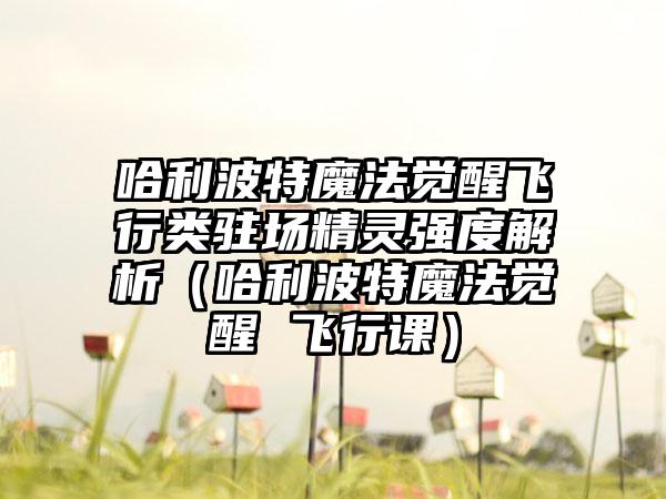 哈利波特魔法觉醒飞行类驻场精灵强度解析（哈利波特魔法觉醒 飞行课）