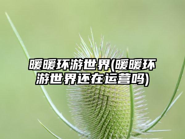 暖暖环游世界(暖暖环游世界还在运营吗)