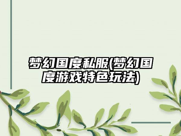 梦幻国度私服(梦幻国度游戏特色玩法)