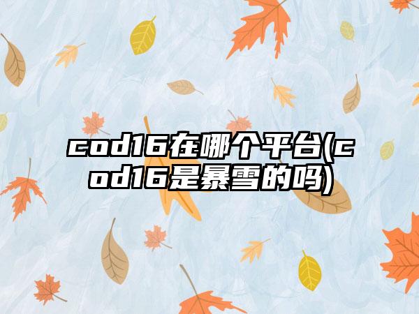 cod16在哪个平台(cod16是暴雪的吗)