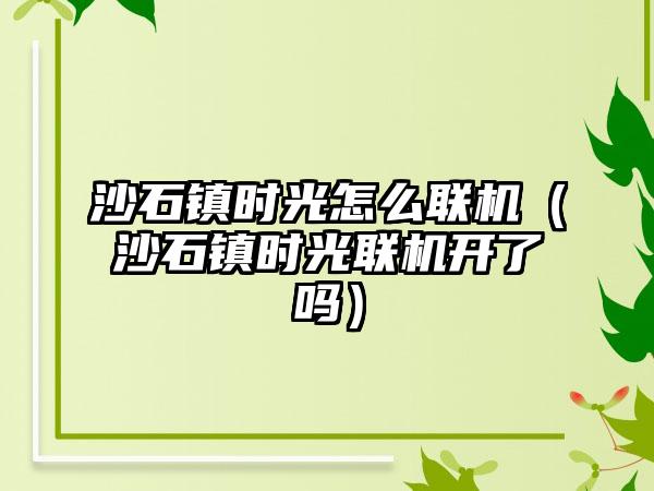 沙石镇时光怎么联机（沙石镇时光联机开了吗）