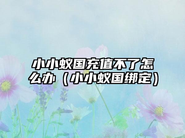 小小蚁国充值不了怎么办（小小蚁国绑定）