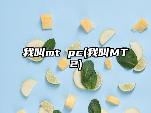 我叫mt pc(我叫MT2)