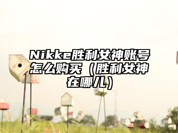 Nikke胜利女神账号怎么购买（胜利女神在哪儿）