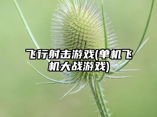 飞行射击游戏(单机飞机大战游戏)