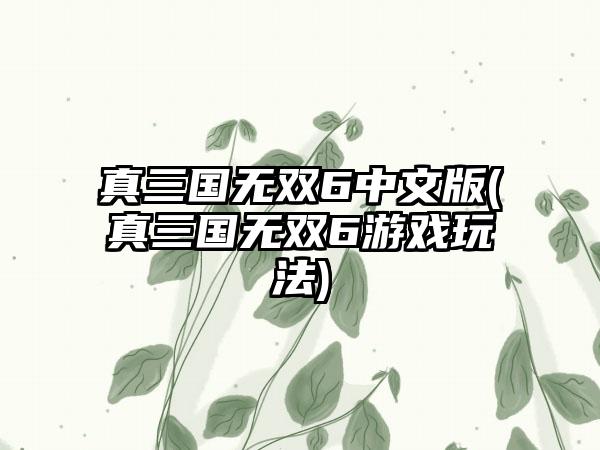 真三国无双6中文版(真三国无双6游戏玩法)
