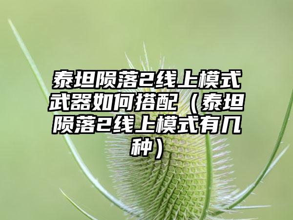 泰坦陨落2线上模式武器如何搭配（泰坦陨落2线上模式有几种）