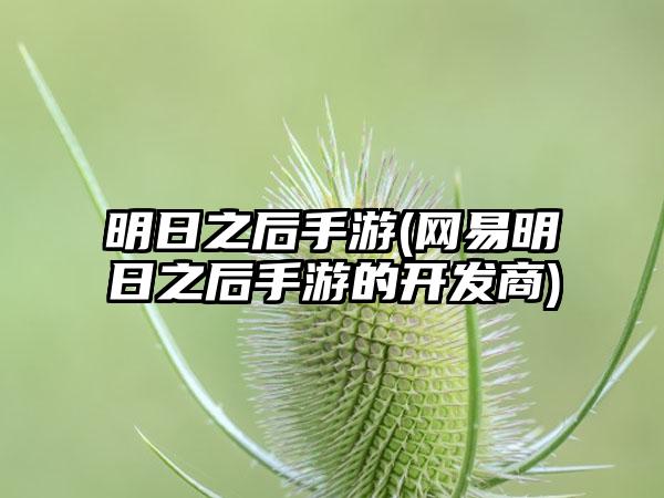 明日之后手游(网易明日之后手游的开发商)
