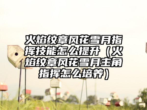 火焰纹章风花雪月指挥技能怎么提升（火焰纹章风花雪月主角指挥怎么培养）