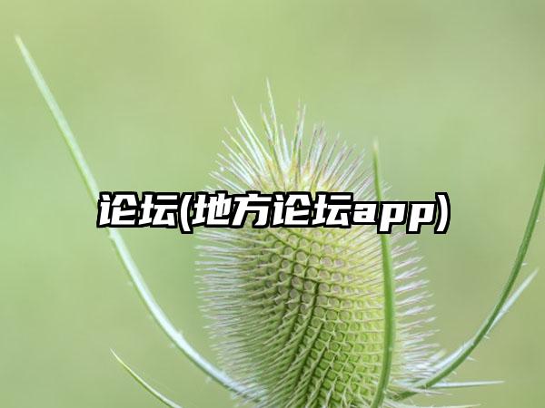 论坛(地方论坛app)